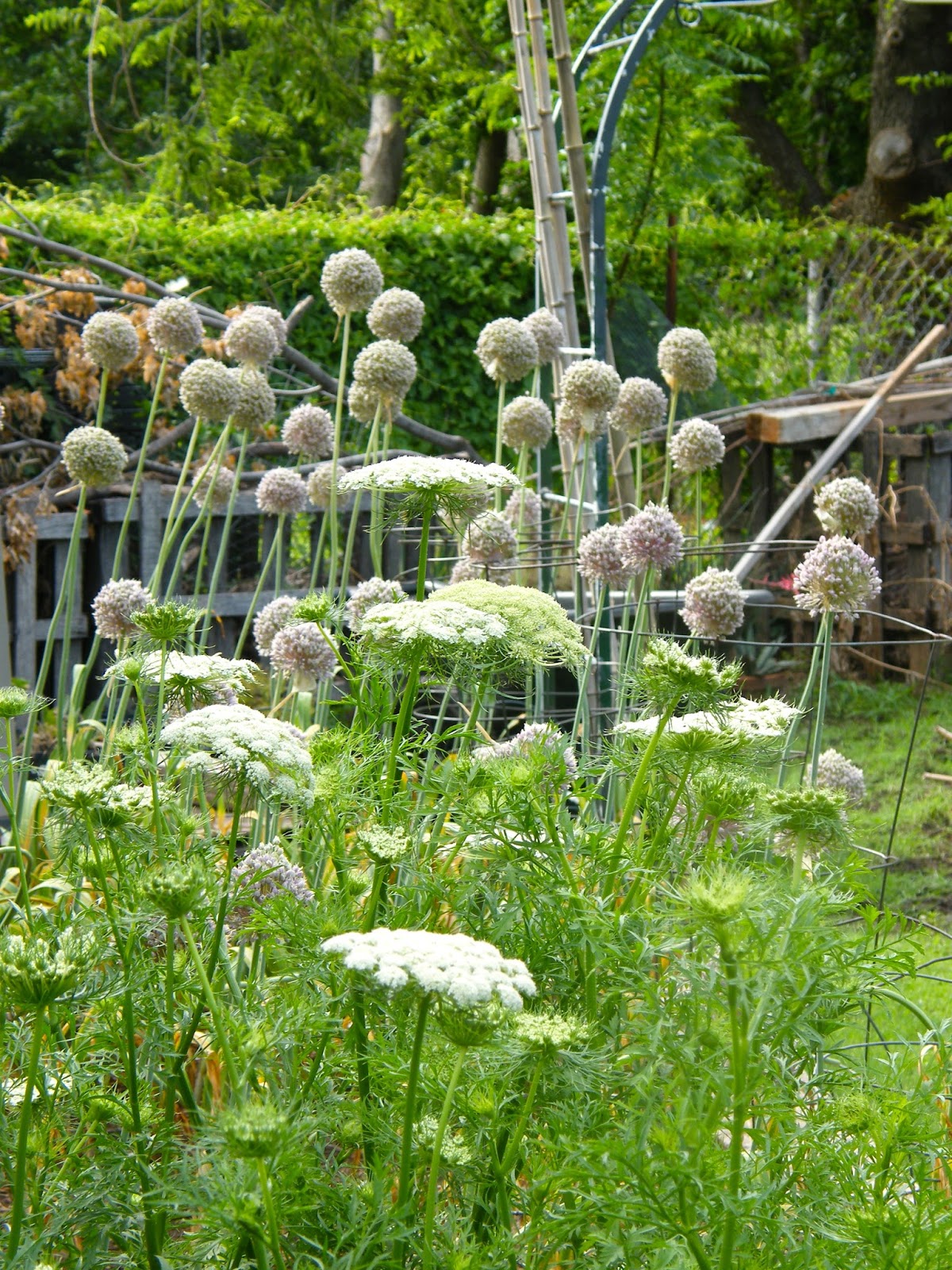 P O T A G E R: Meadowbrook Acres Garden Tour