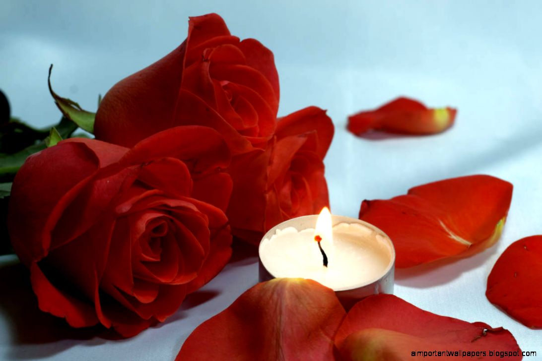 Romantic night bed roses and petals candles photo Image № 7275 Romantic night bed roses and petals candles photo Image № 7275