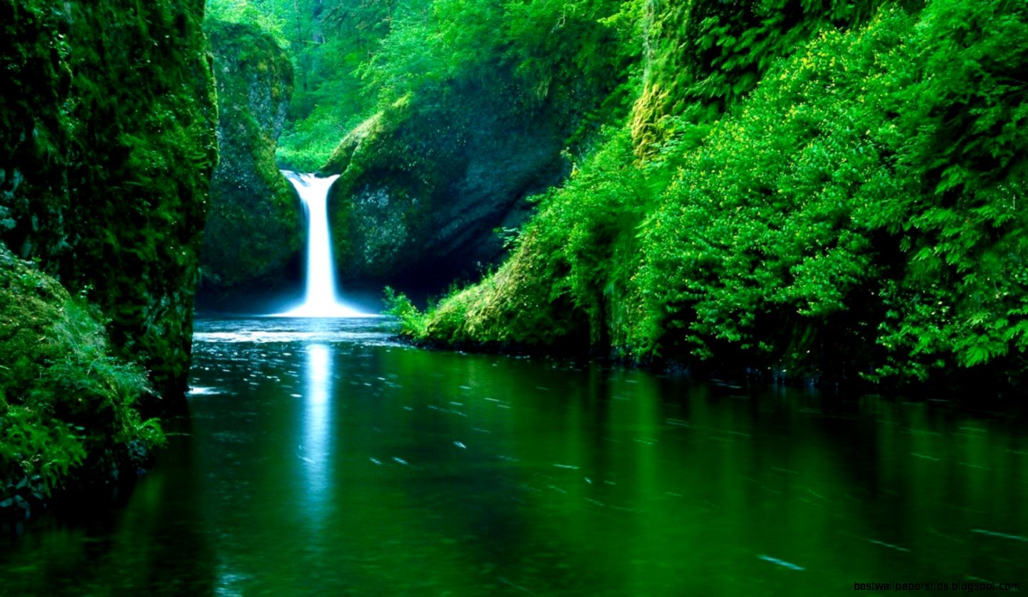 live wallpapers free live wallpapers free