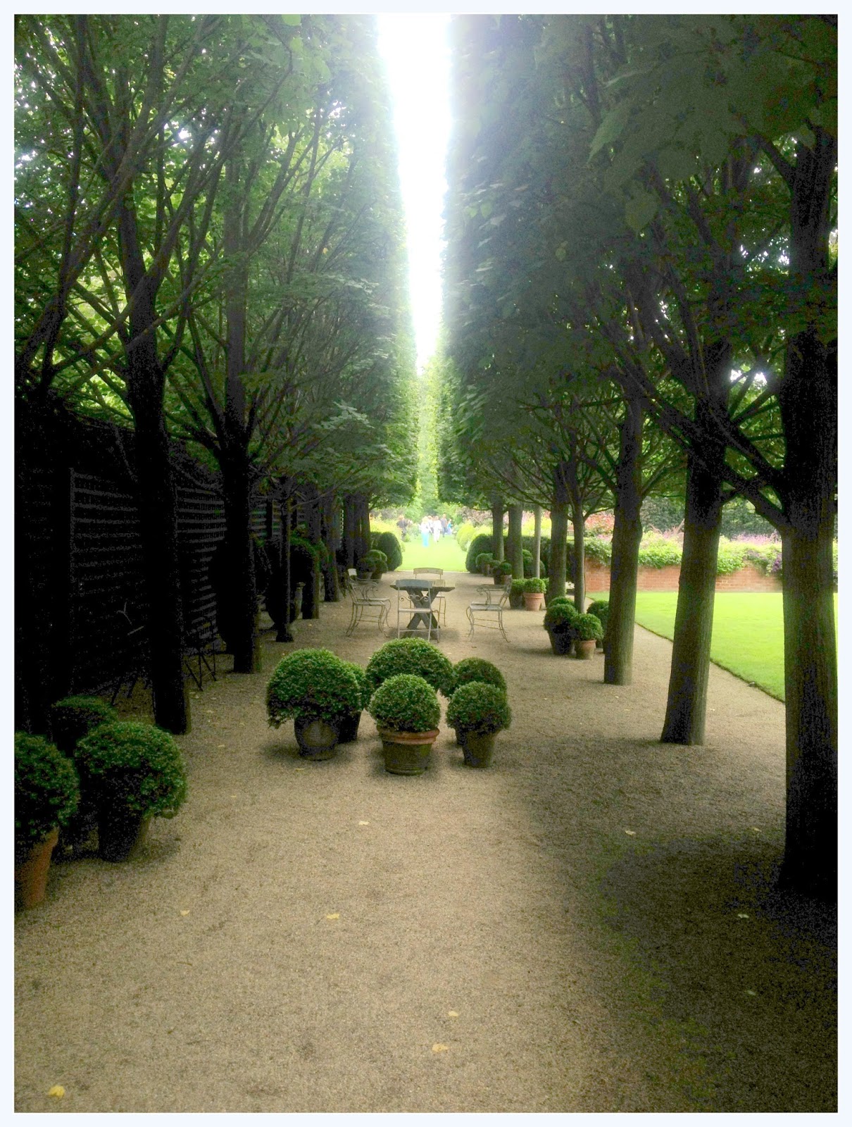 Rue de Emily Camp Rosemary...Day One