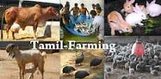Tamil-Farming