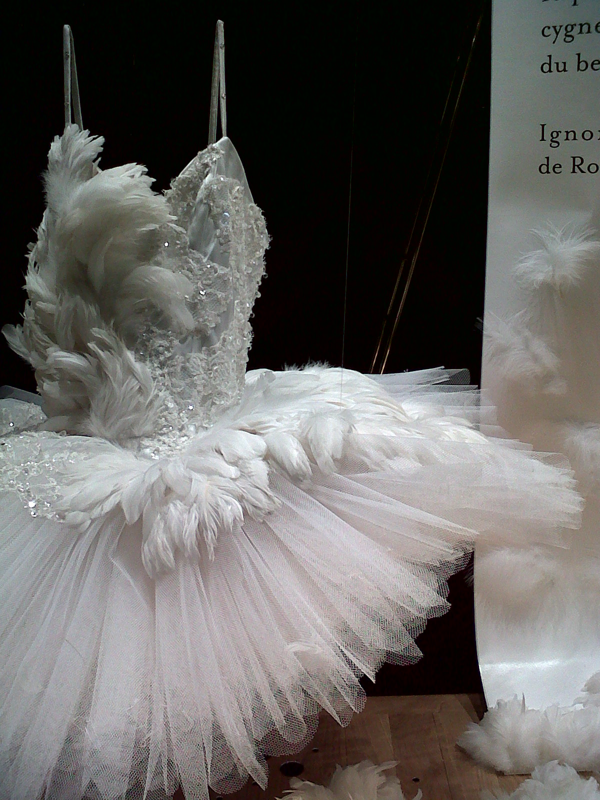 ballerine danseuse femme