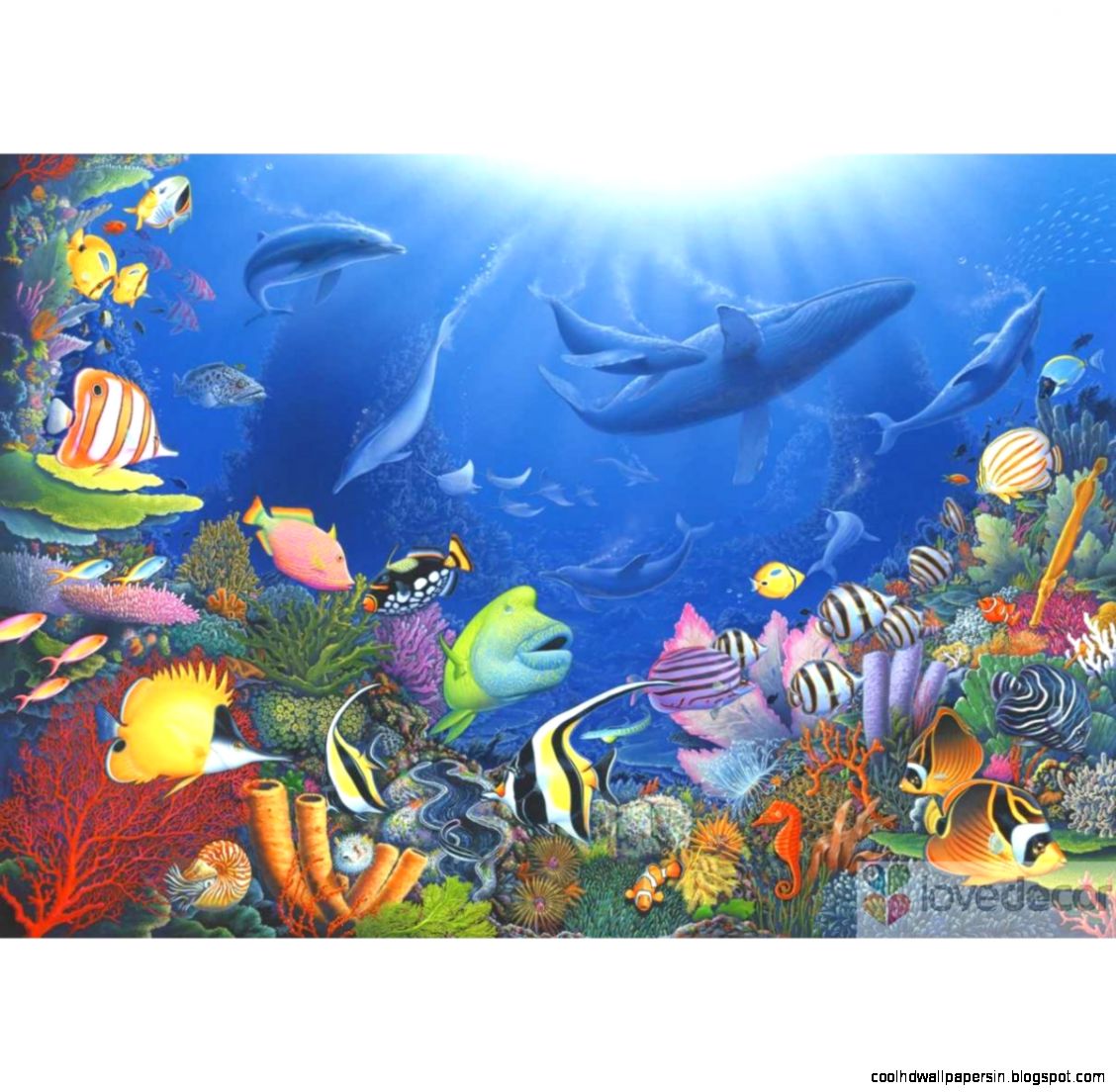 Underwater Wallpaper Murals