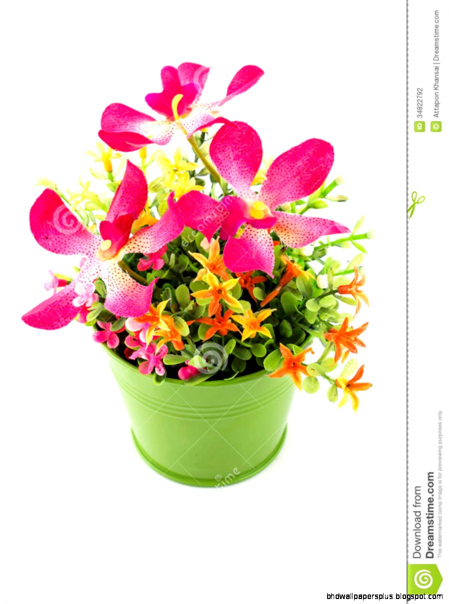 Fake Flowers For Interior Decoration Stock Photography Image Fake Flowers For Interior Decoration Stock Photography Image