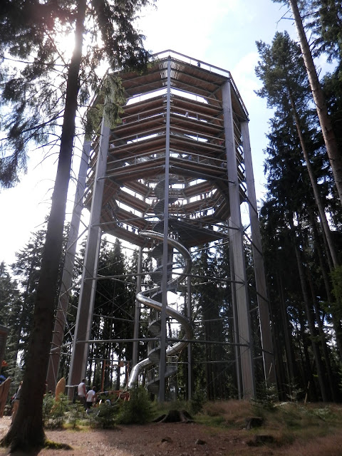 Stezka korunami stromů // Treetop Walkway Stezka korunami stromů // Treetop Walkway