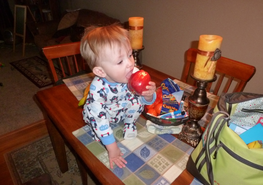 the Colorado Mountain Mom Toddler Talk Crazy Climber