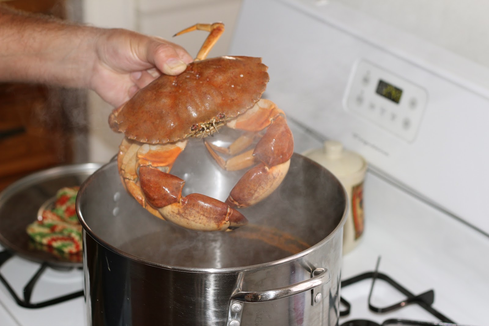 Food for Hunters How to Boil and Clean Crab