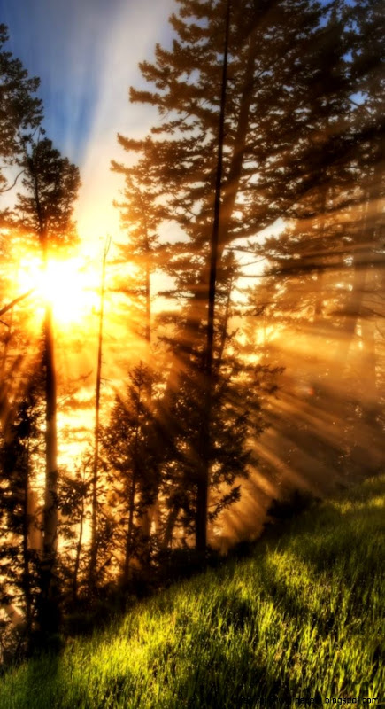 Where to buy High Resolution Images iPhone 6 Wallpaper 21212 Where to buy High Resolution Images iPhone 6 Wallpaper 21212