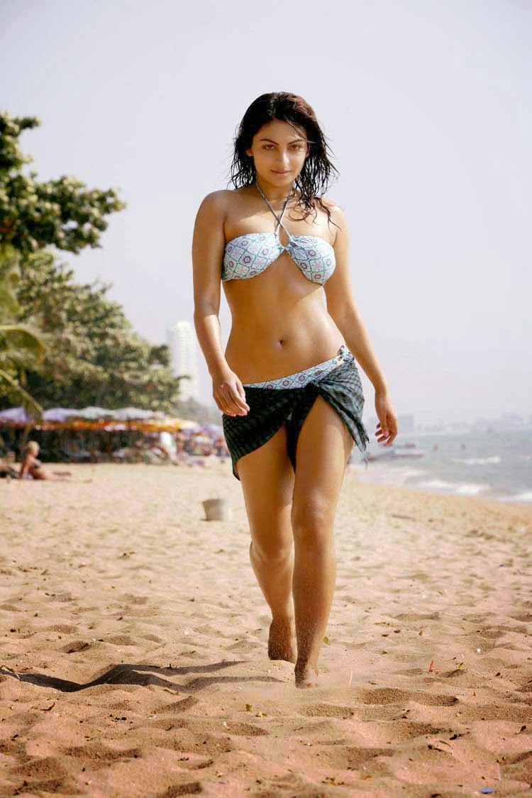 Sexy Indian Actresses Hot Pic