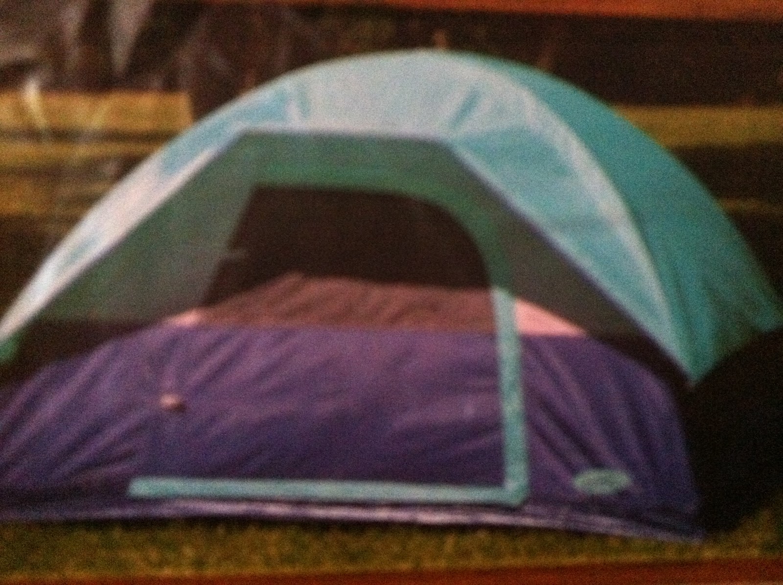 Our Family of Four: CHEAP BUT BIG Sleepover Ideas!
