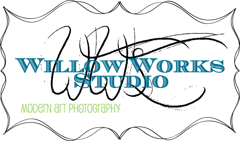 Willow Works Studio formerly Photography by Takisha
