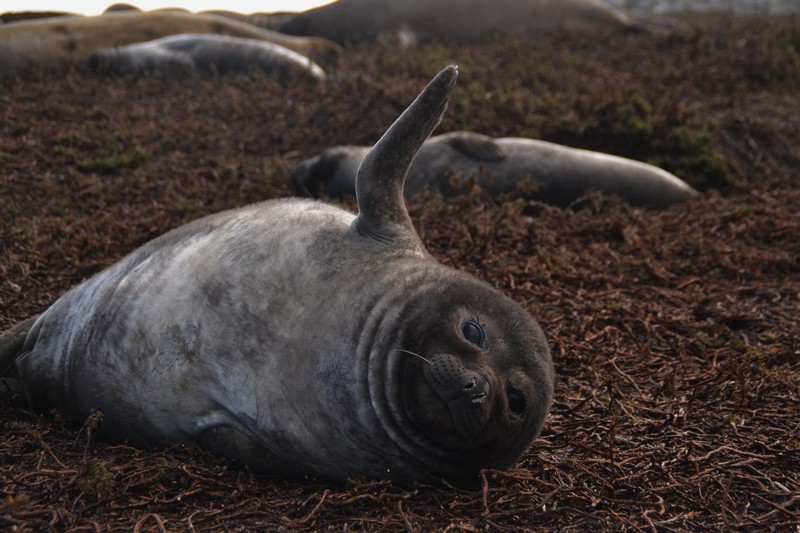 scène de rencontre belle du seigneur