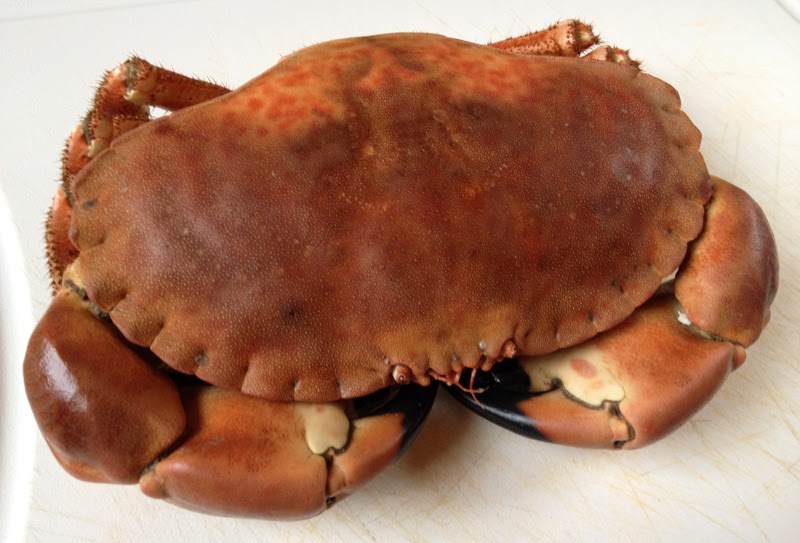 Free From G.: How To Dress A Crab