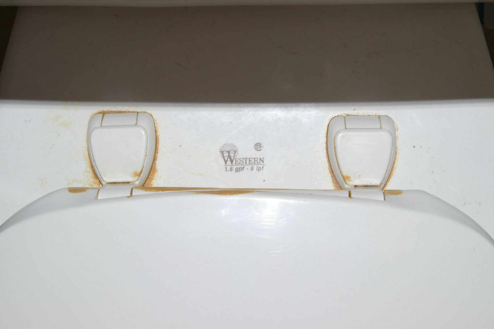 Doing My Best PSA How To Take Apart and Clean a Toilet Seat