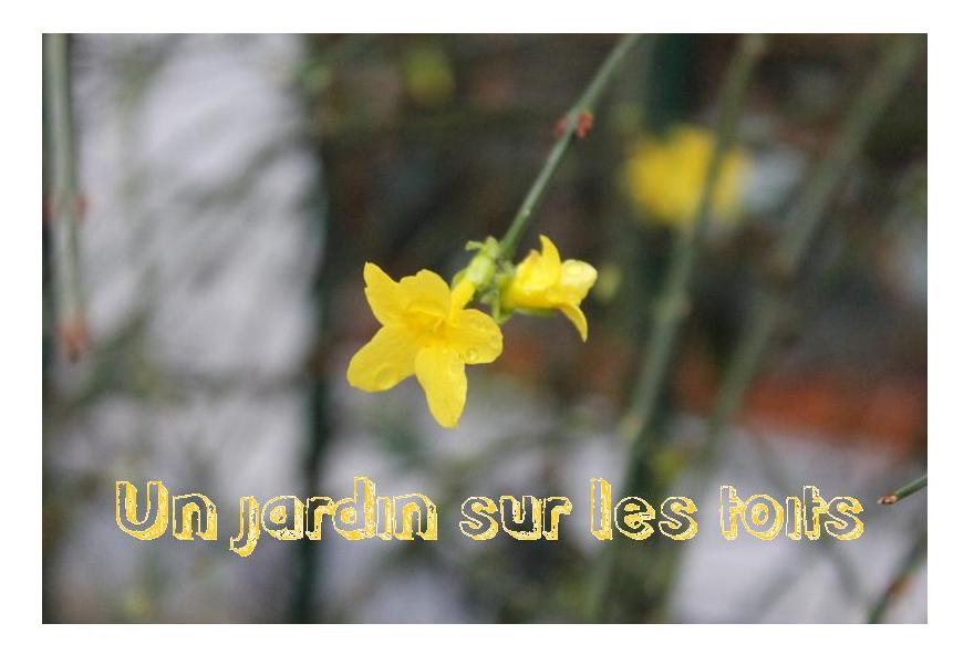 Un Jardin sur les toits