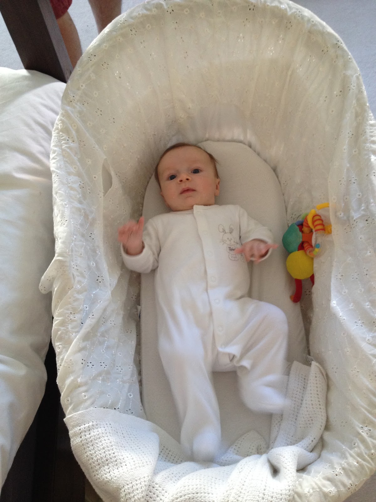 baby outgrown moses basket