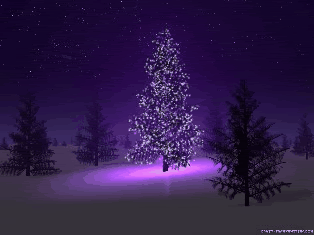 Christmas GIFS: Christmas Reflections