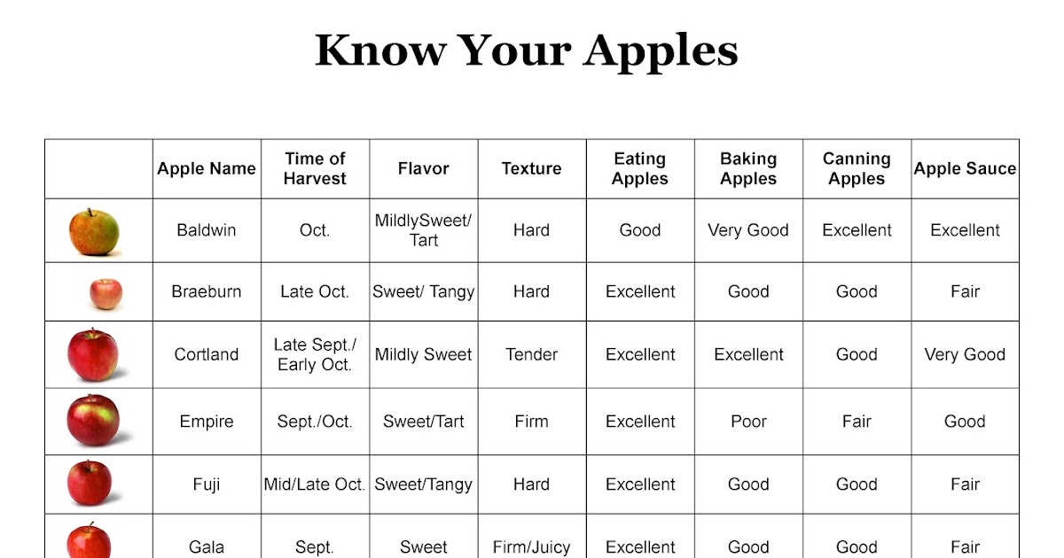 ORCHARDS CSA BLOG Know Your Apples