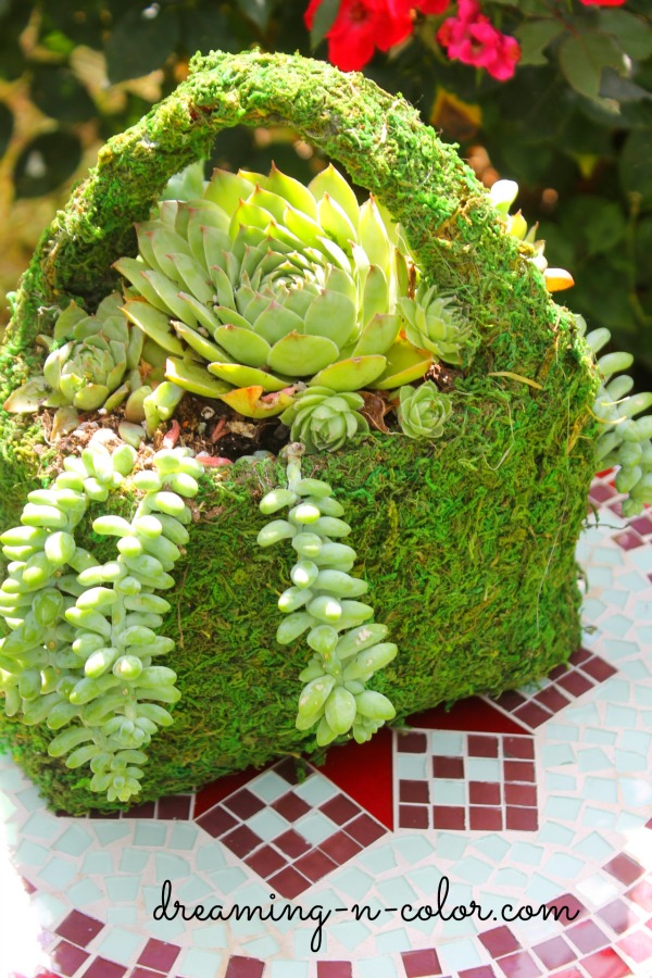 dreamingincolor Succulent Purse Centerpiece