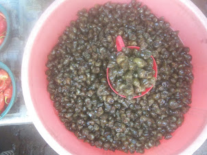 Snails on sale in  Supermarket of Dimapur.