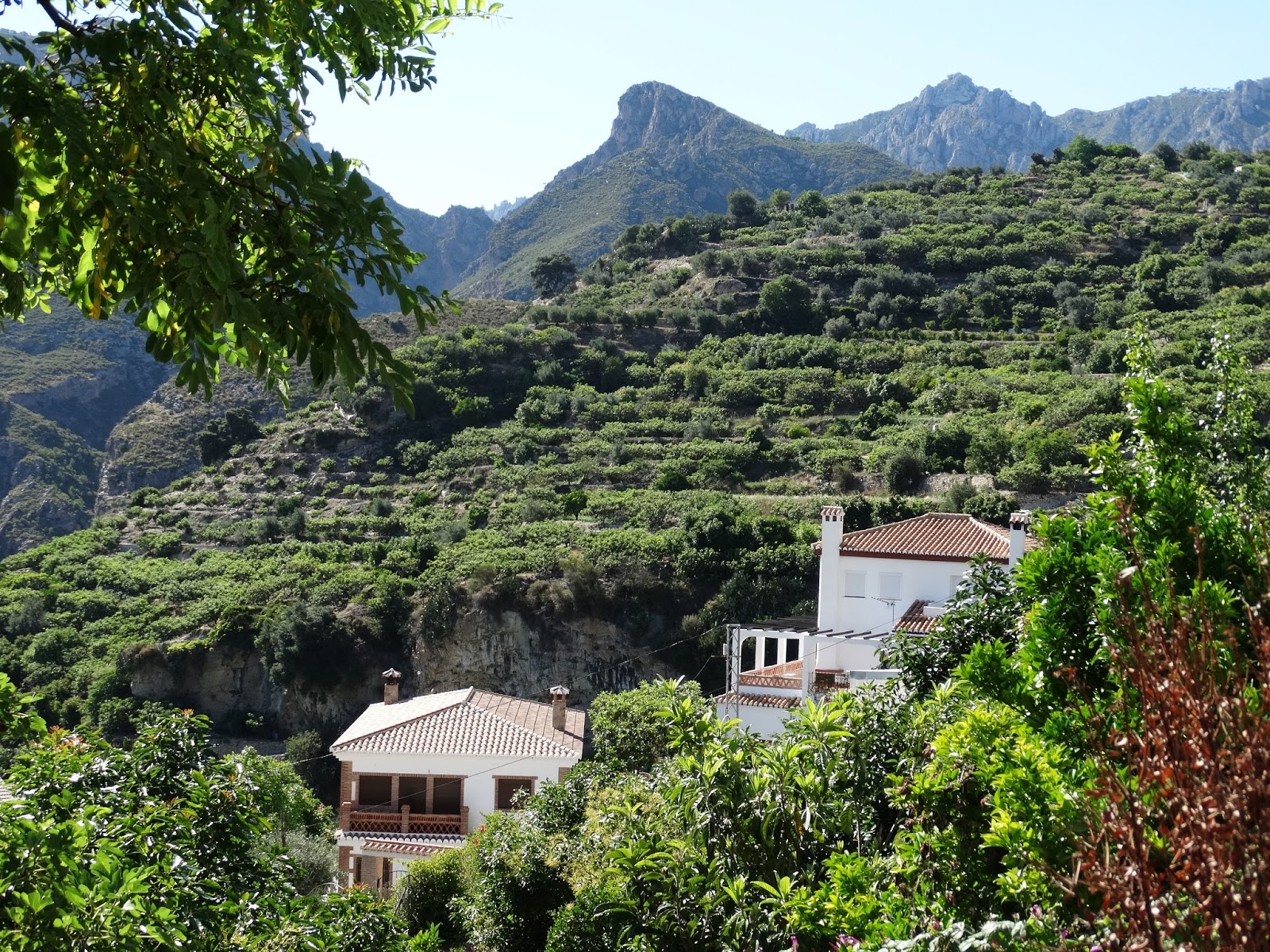 Foto de Desvío hacia Lentegí en Lentegí, Granada