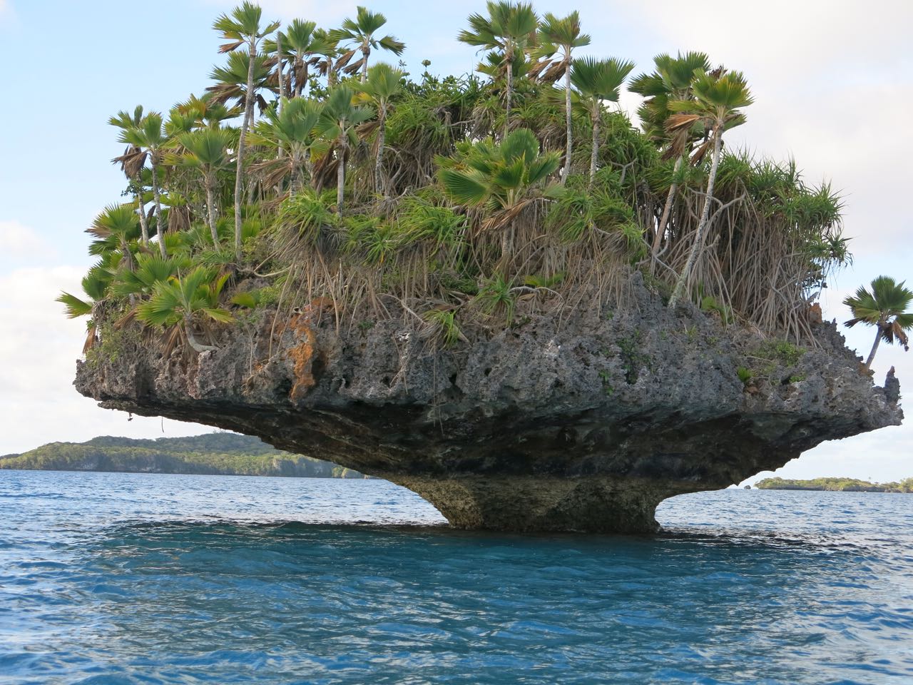 Provisioning for Paradise