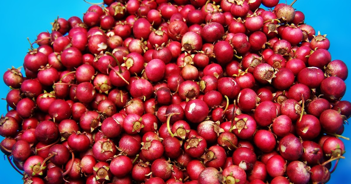 Eat Groovy Why Are Cranberries So Good For You?