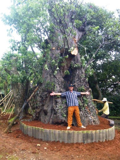 Sentra Tanaman Hias Graha Raya Bintaro 2013