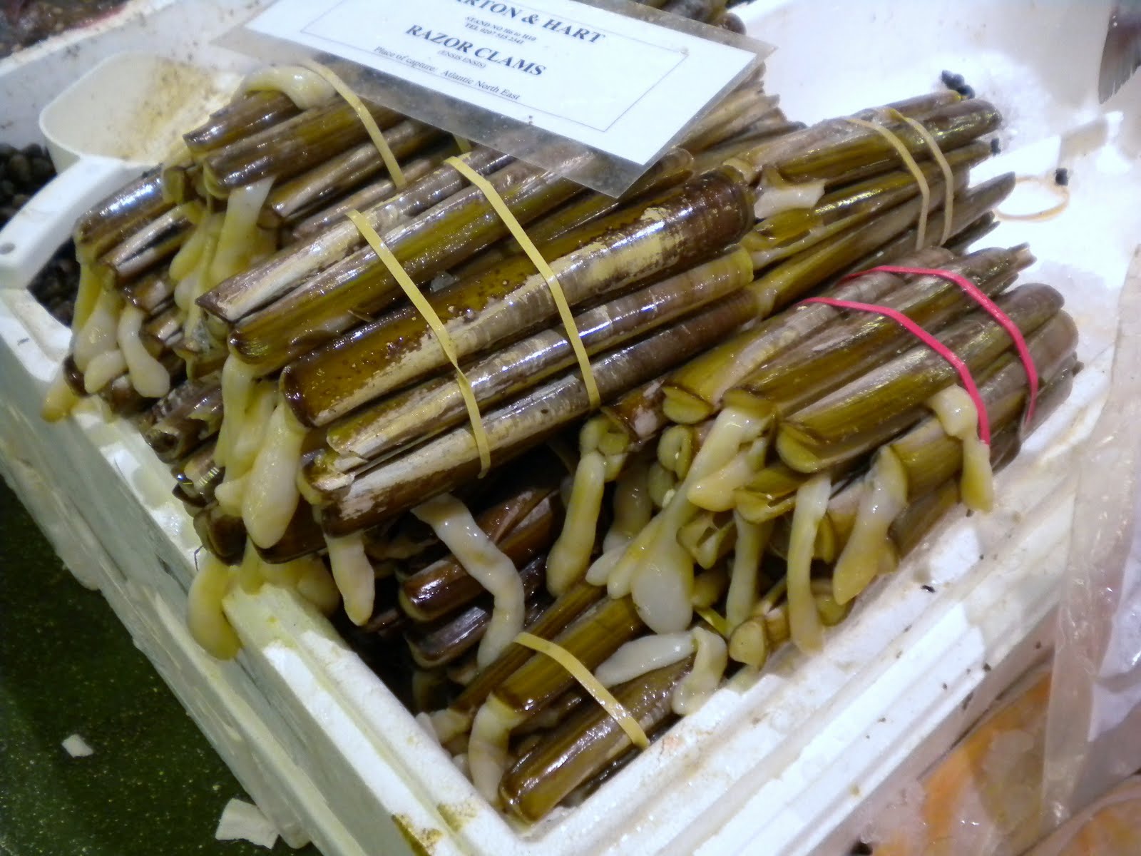 Curious Kai Billingsgate Fish Market, London