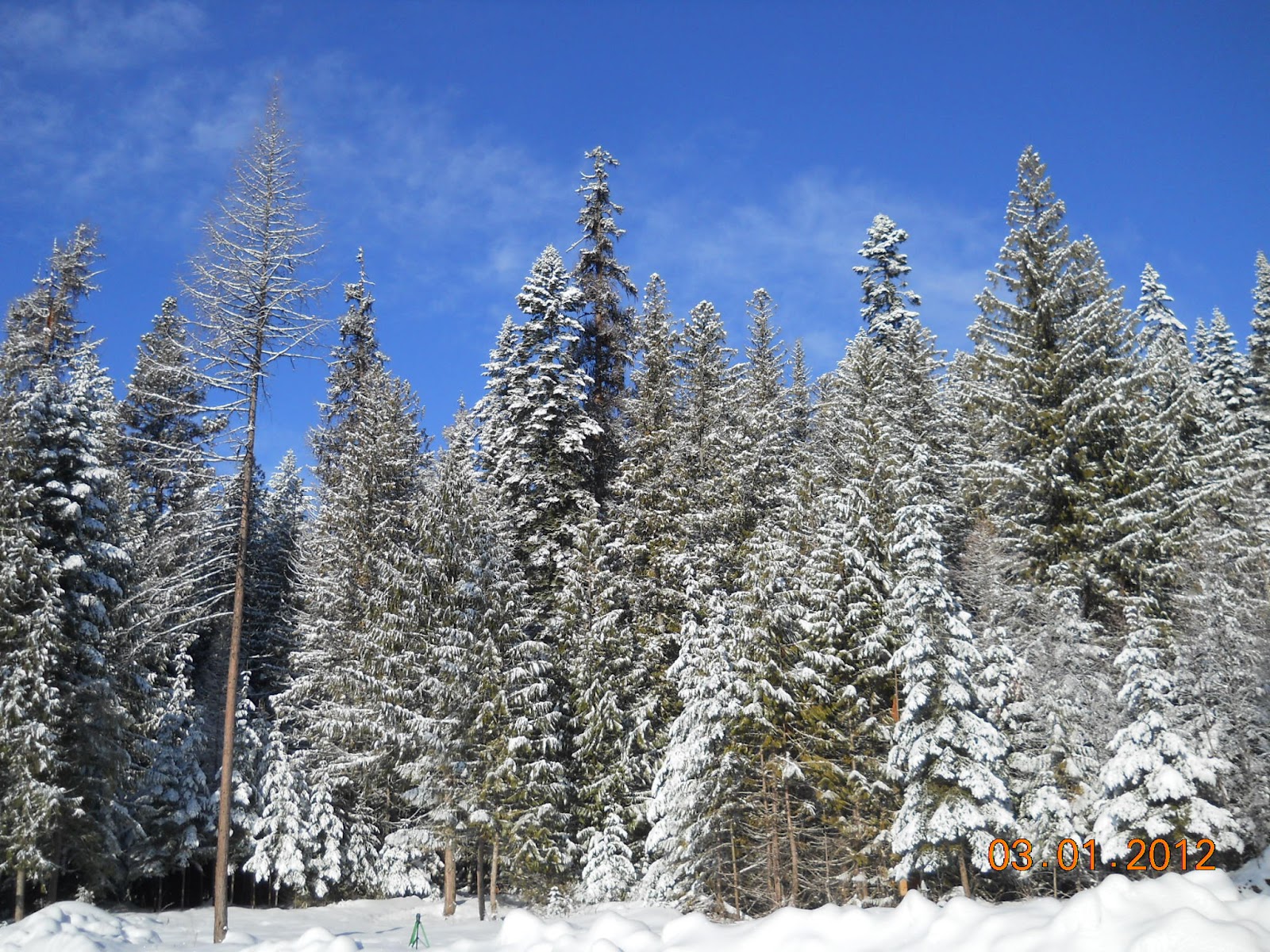 Home with three creeks for sale! Photo's of house and land