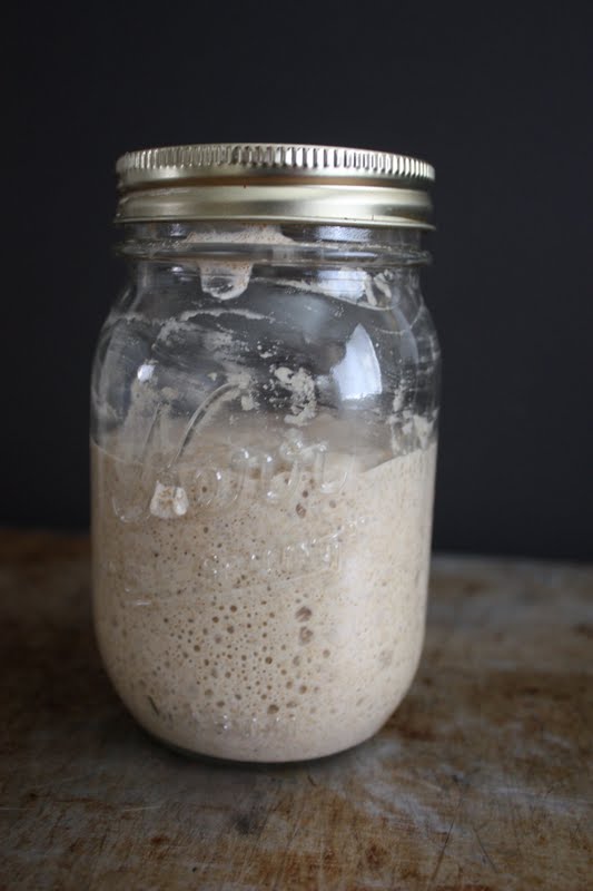 Tartine Bread Experiment Sourdough Starter, Demystified UPDATED AS OF