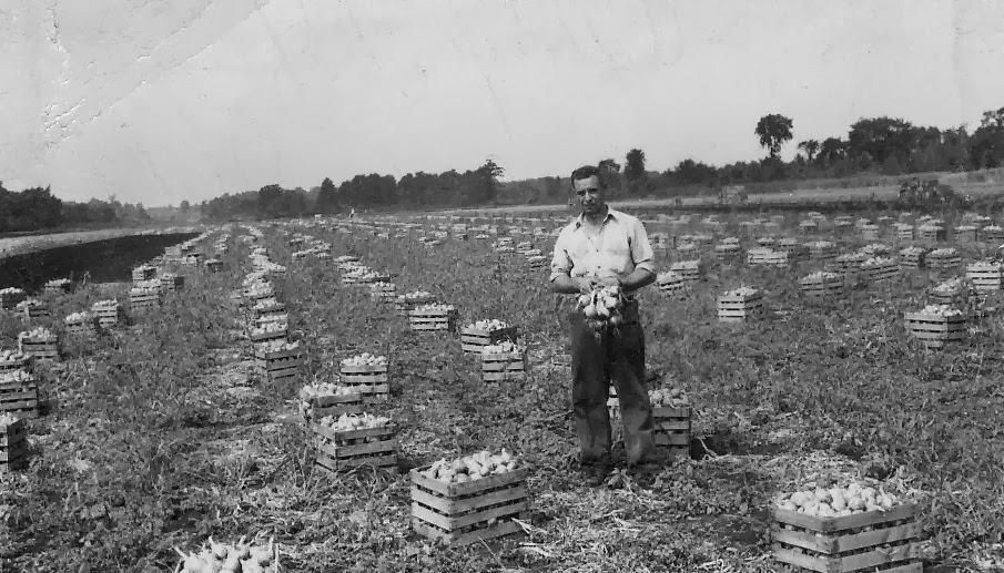 Empire State Farming Book Published on Muck Farms of Oswego County