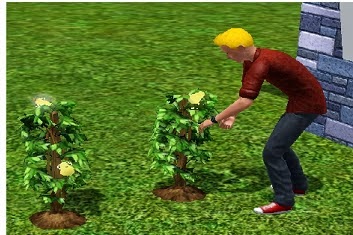 Zycie I Smierc A Wlasciwie Jej Brak