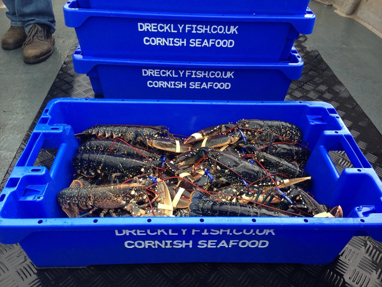 Through the Gaps! Newlyn Fishing News Kevin Penney Newlyn punt