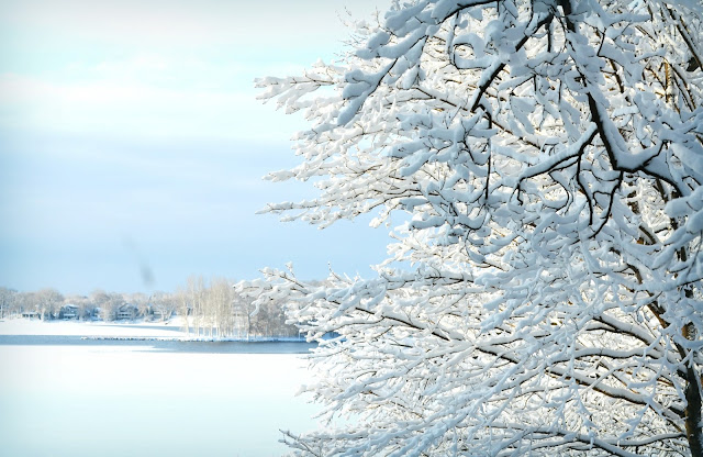 Решебник Латинский Язык И Основы Медицинской Терминологии