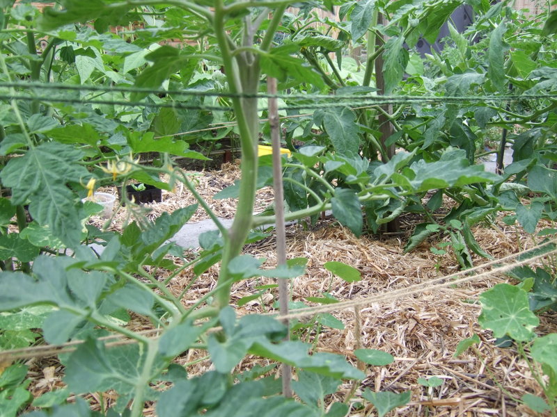 Florida weave how to do the weave Funkbunny