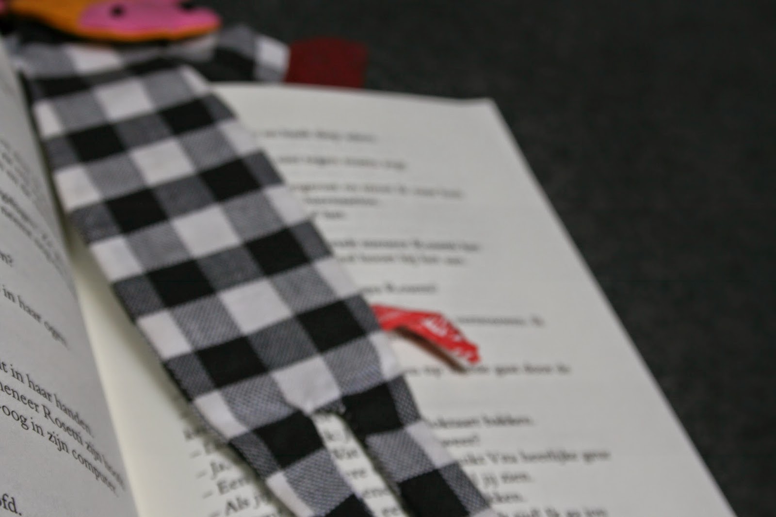 Fourteens Book review Hoe overleeft Rosa in New York?