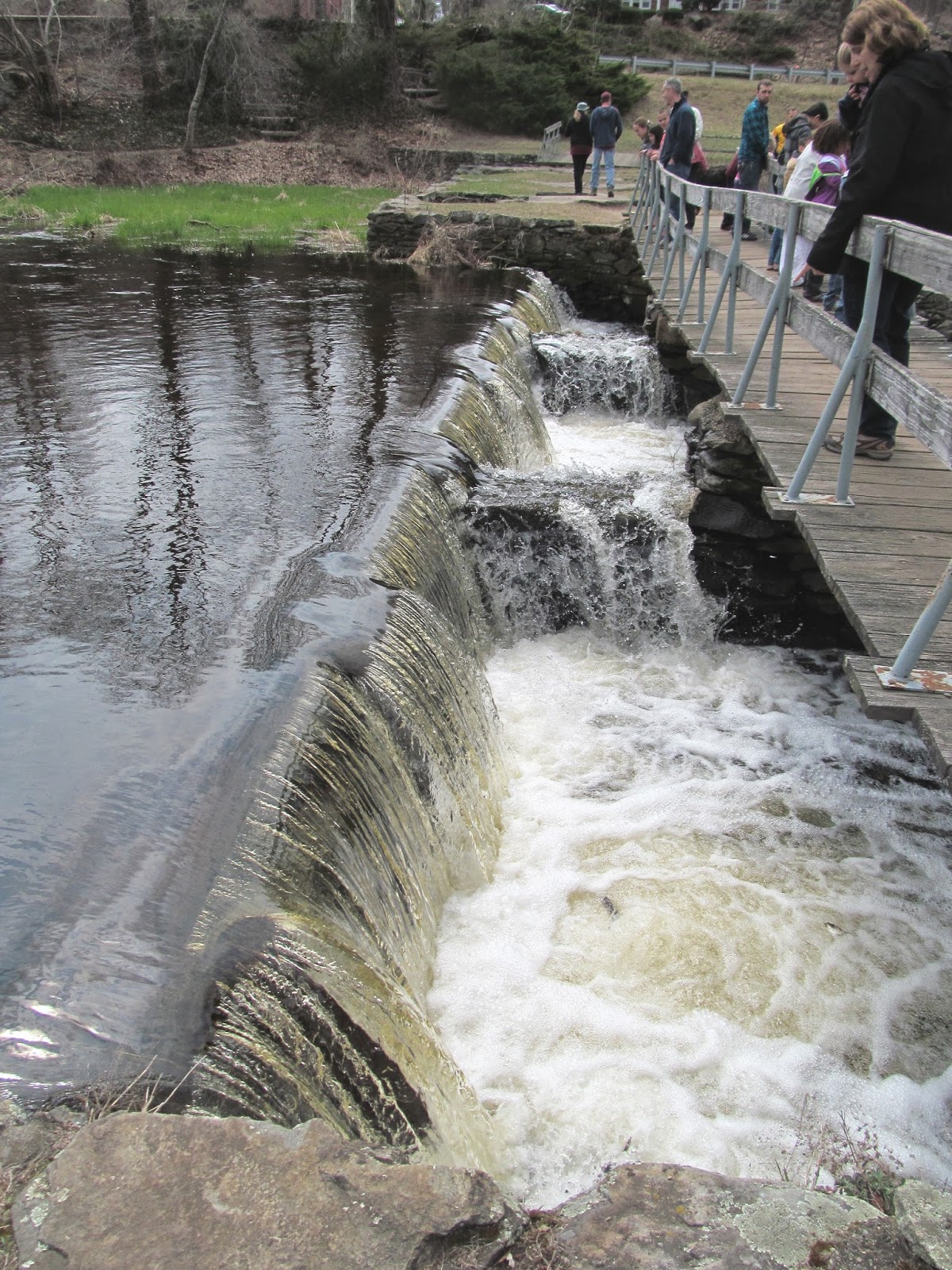 Elaine's Creative Works Middleboro's Herring Run Festival at Oliver Mill Park, Nemasket River