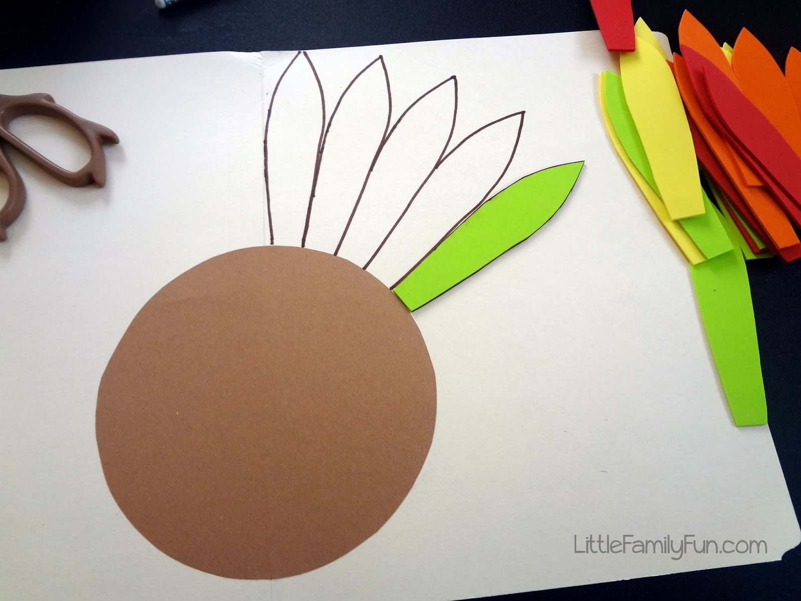 Counting Turkey Feathers