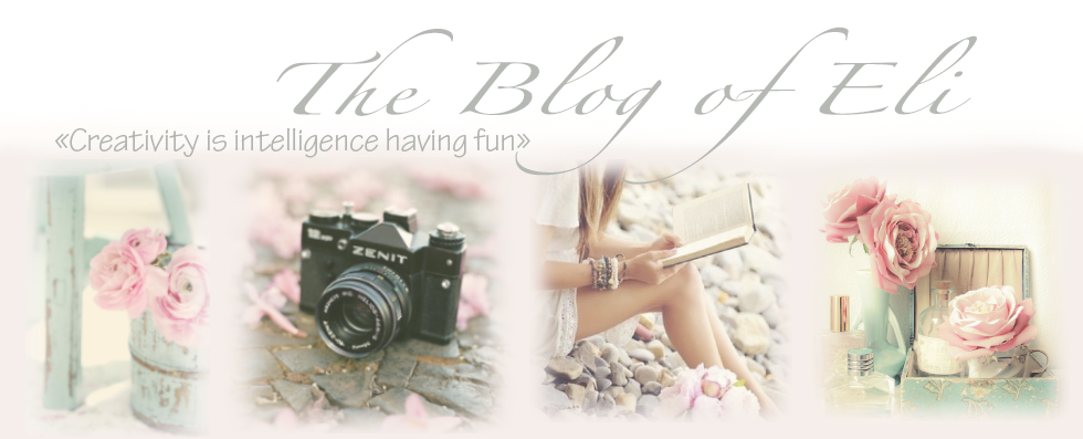 The blog of Eli