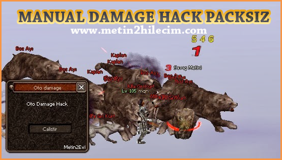 Metin2 Packsız Damage Hack