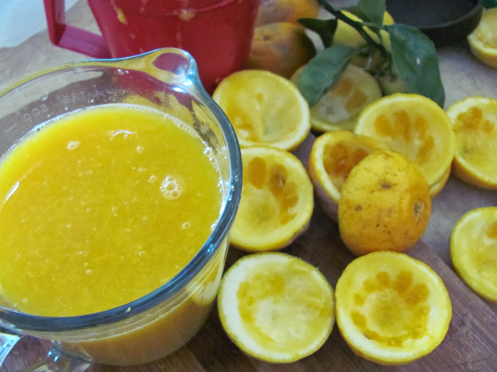 Life's Song Citrus Cordials