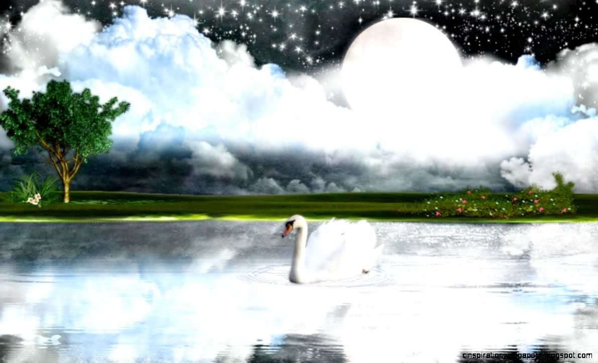 View Of White Goose Hd Wallpaper 3 Hd Wallpapers View Of White Goose Hd Wallpaper 3 Hd Wallpapers