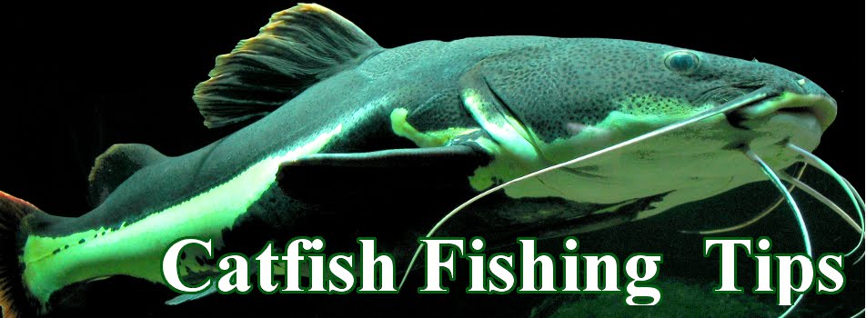 Catfish Fishing Tips