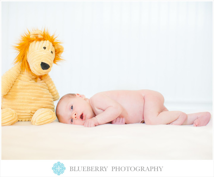 napa sonoma award winning natural light baby newborn portrait photographer