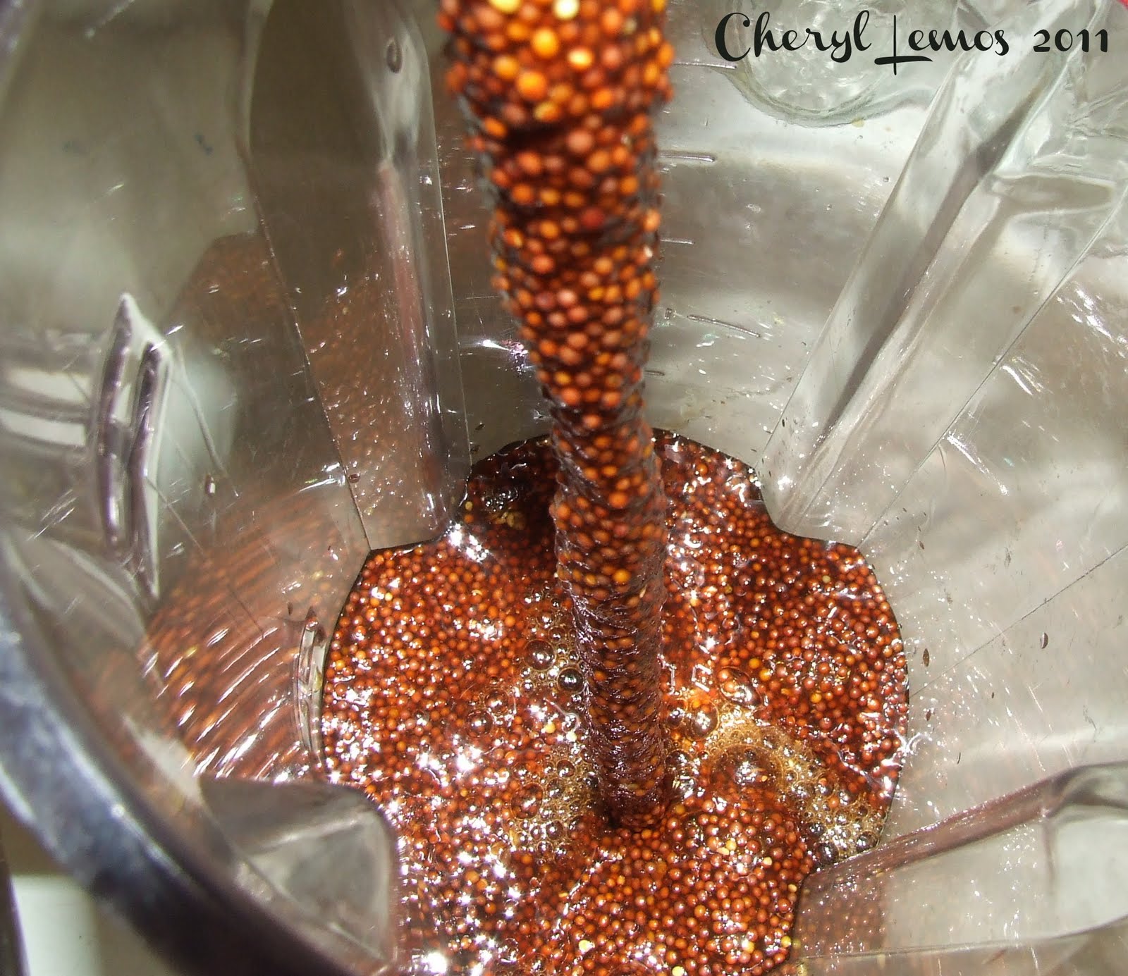 Bräuista Cooking with Beer Spicy Guinness Mustard