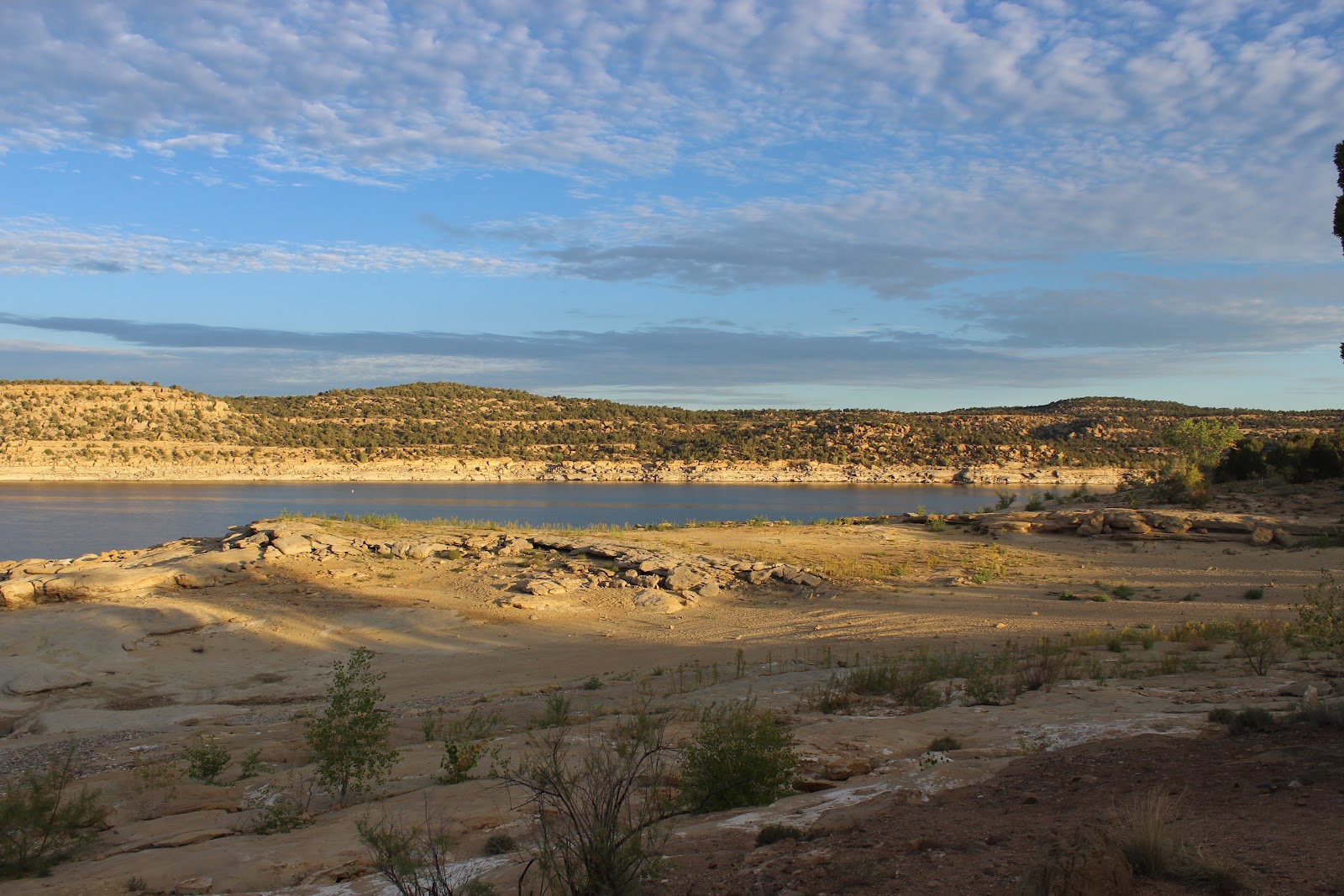 Albers Family of Arizona Navajo Lake, New Mexico