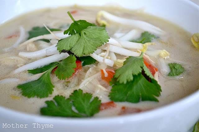 Slow Cooker Thai Chicken Noodle Soup