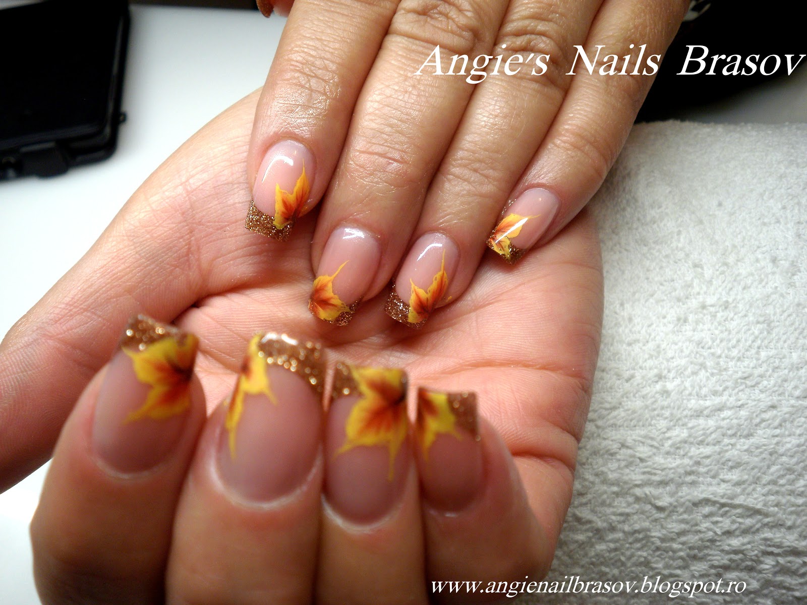 Angies Nails Brasov Unghii False Tehniceacryl Nfu Oh Portelan