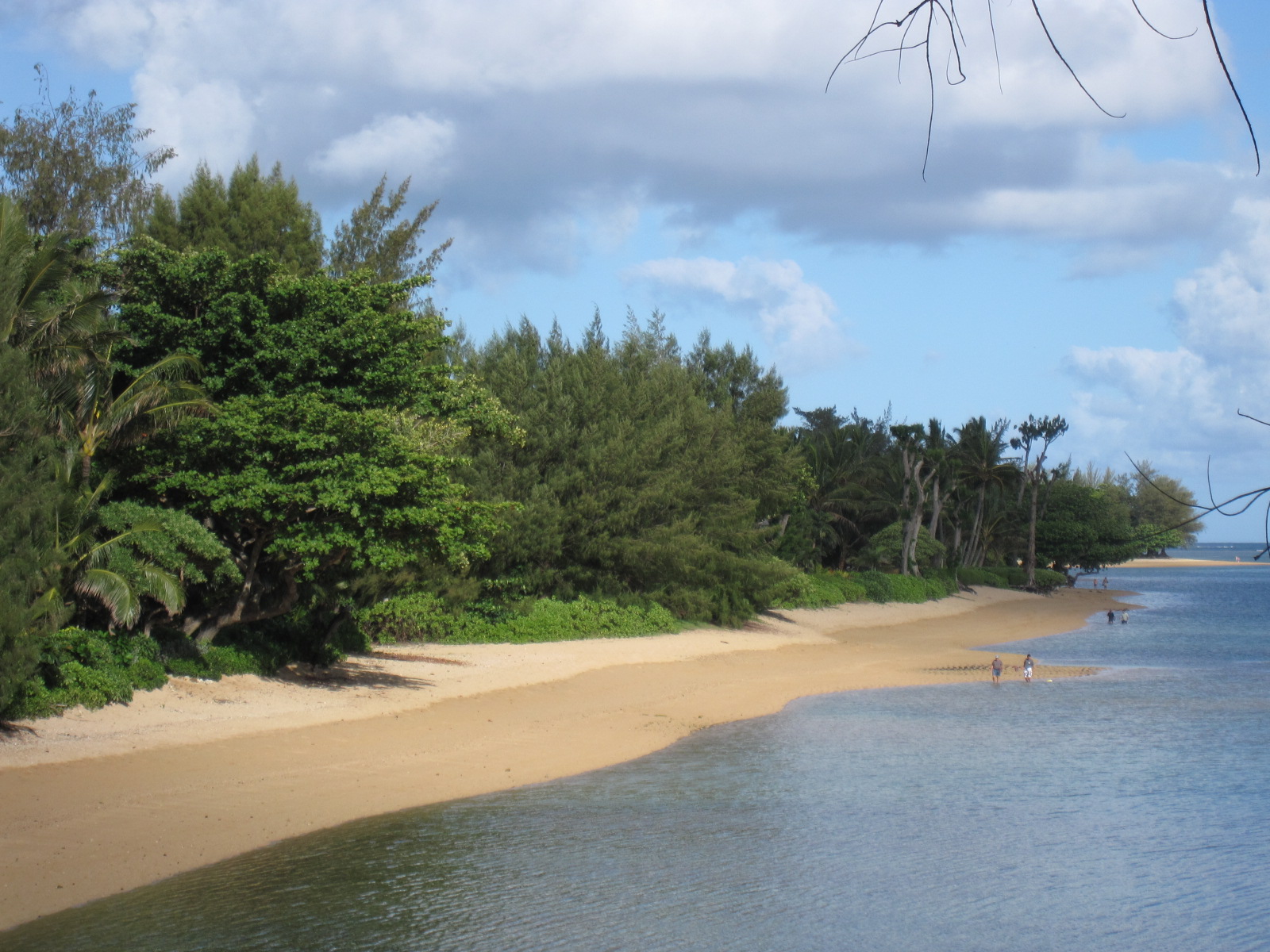 Kauai Real Estate For Sale Kauai Real Estate Anini Beach Houses for